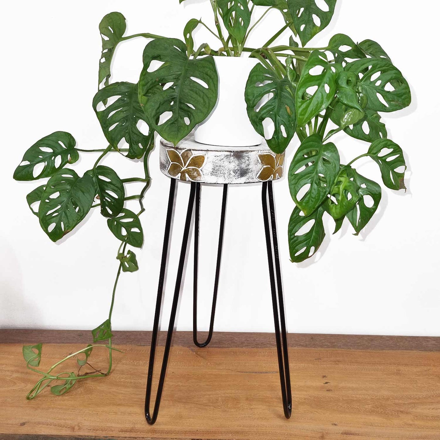 Albasia Wood Plant Stand - Whitewash & Gold Detail