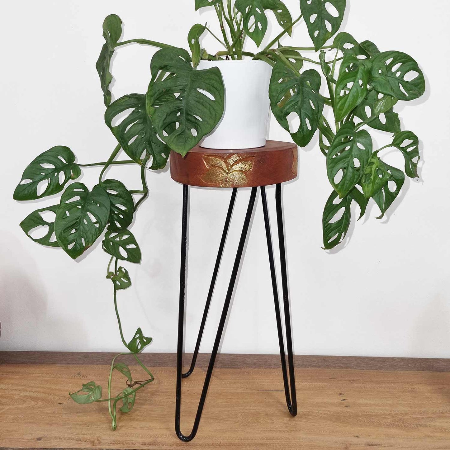 Albasia Wood Plant Stand - Natural & Gold Detail