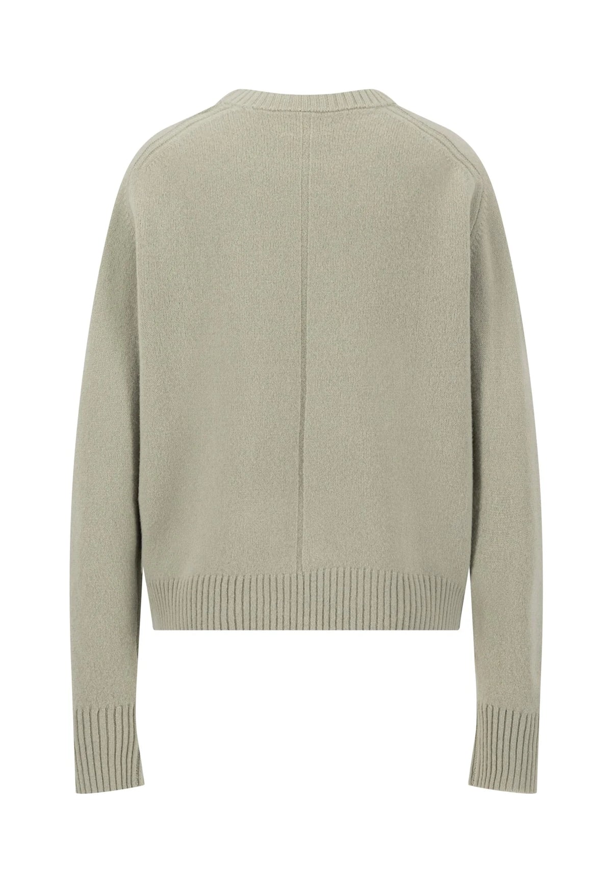 A light sage green knit sweater shown from the back, featuring a crew neck, long sleeves, and ribbed cuffs and hem, displayed on a clean white background.