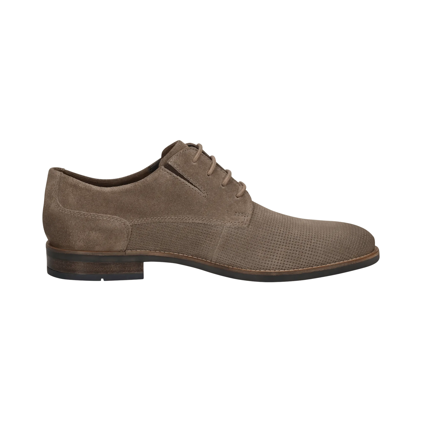 Bugatti Suede Shoe - Taupe