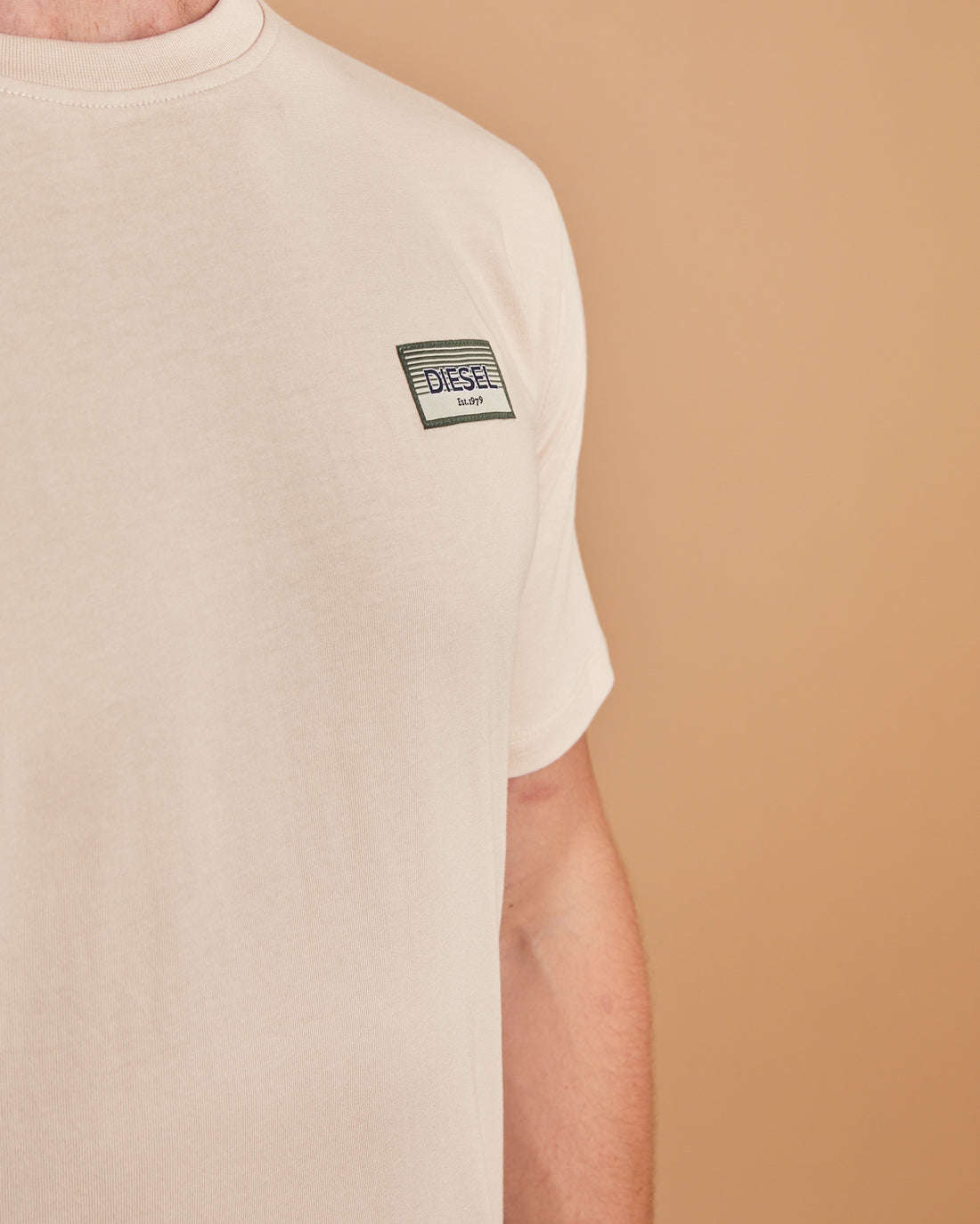 Diesel Alamosa T-Shirt - Canyon Cloud