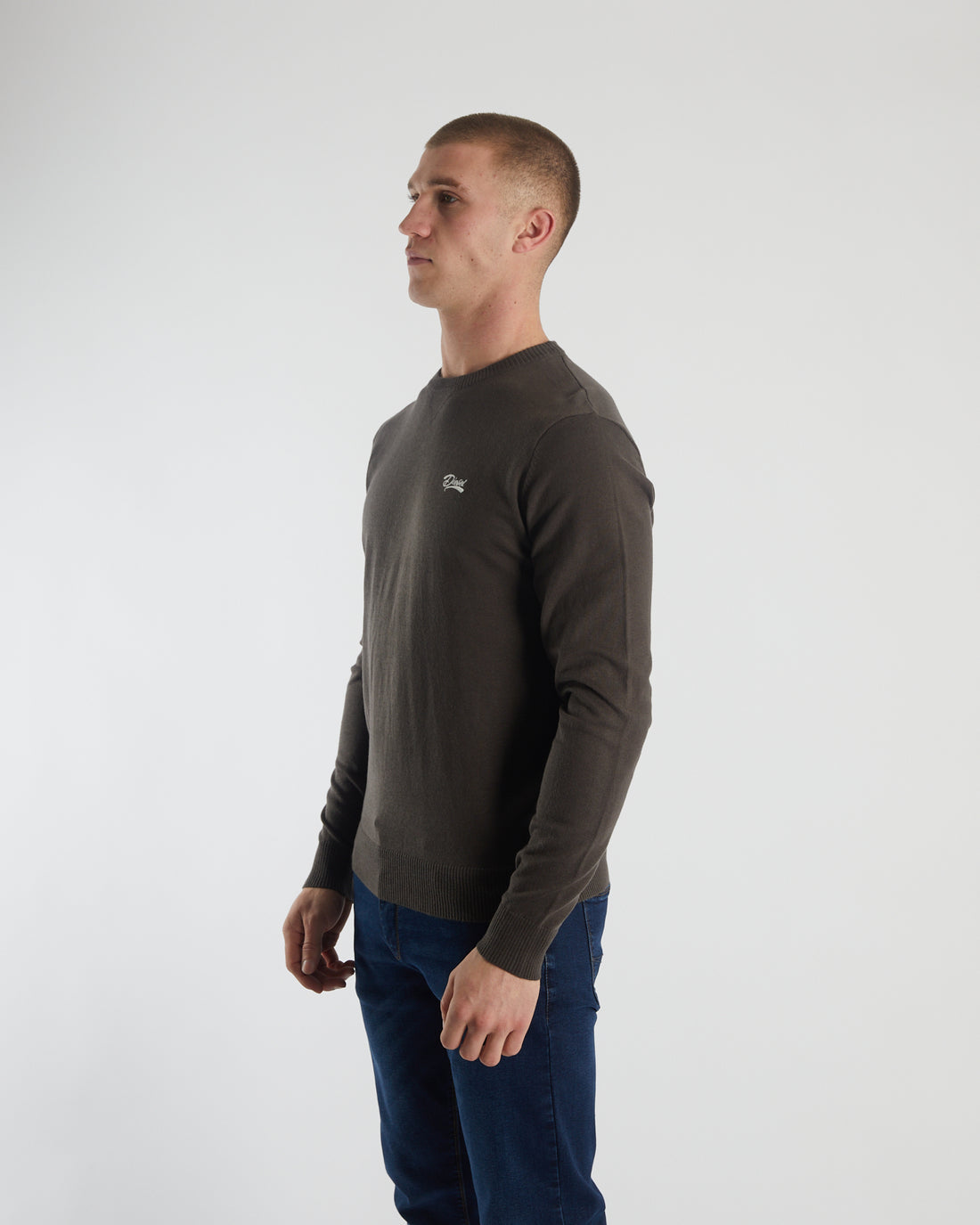 Diesel Dylan Round Neck - Peat Moss Marl