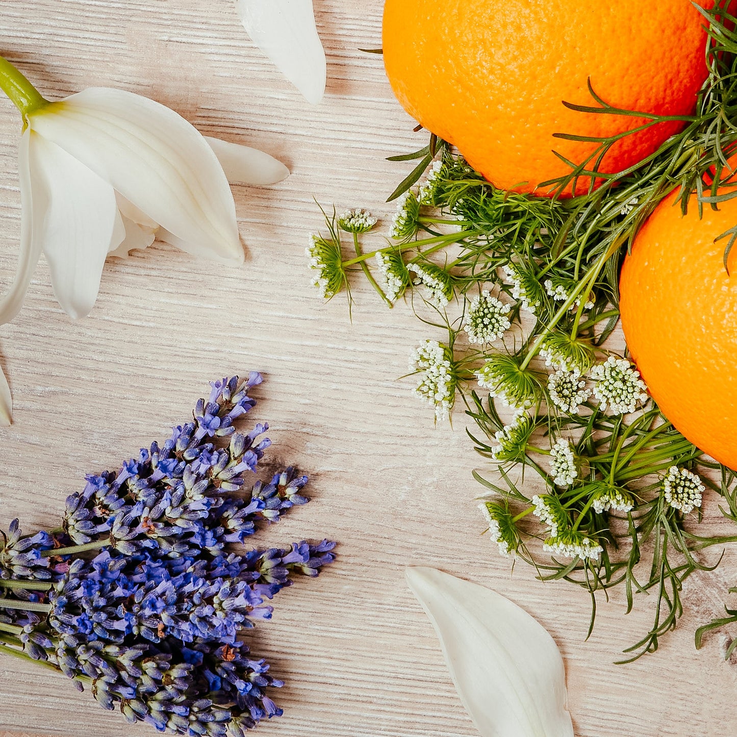 Brook & Shoals Reed Diffuser - Neroli Blossom and Lavender