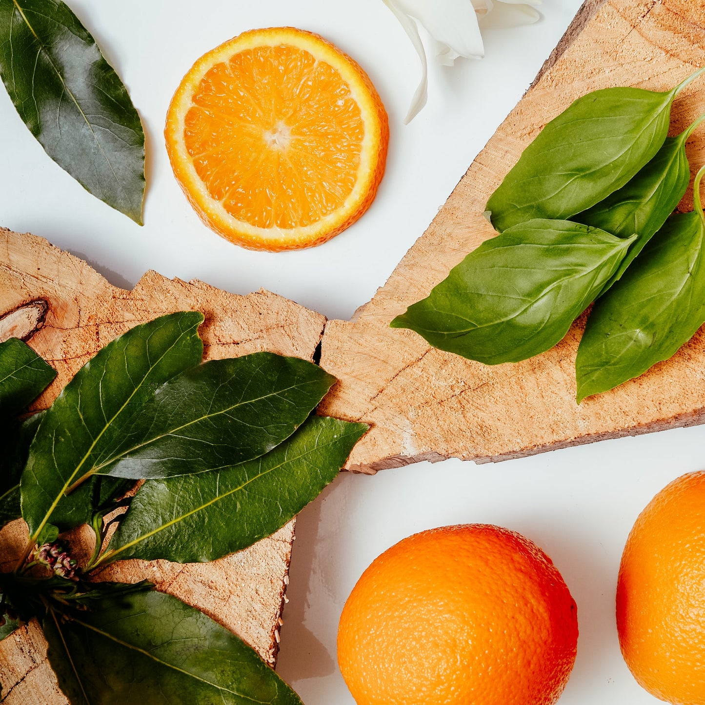 Brook & Shoals Candle - Sweet Basil Bay & Neroli