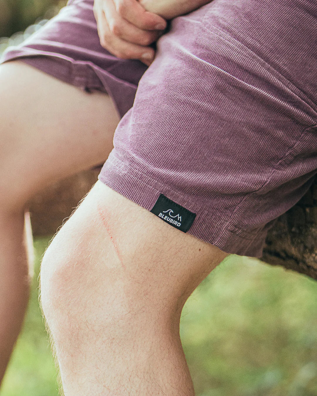 Bleubird Drifter Shorts - Berry