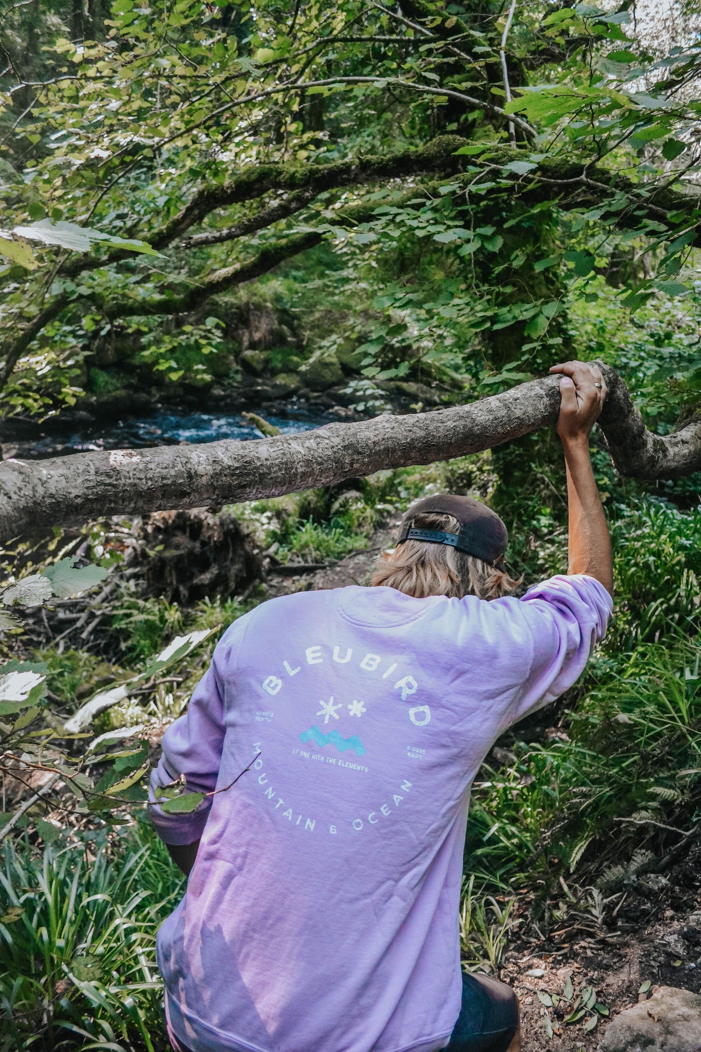 Bleubird Orginal Crew - Lavender