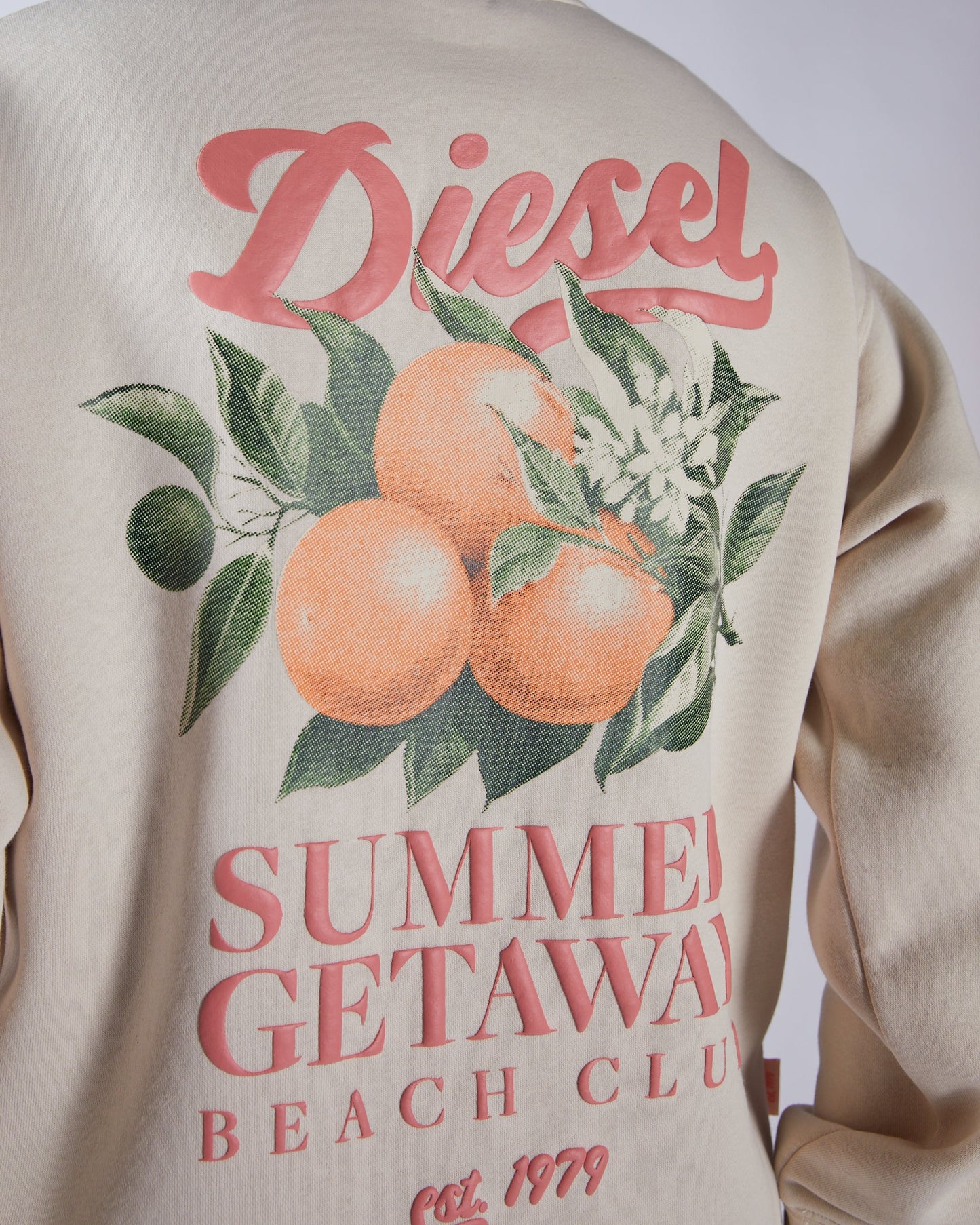 Diesel Fuji Sweatshirt- Stone White