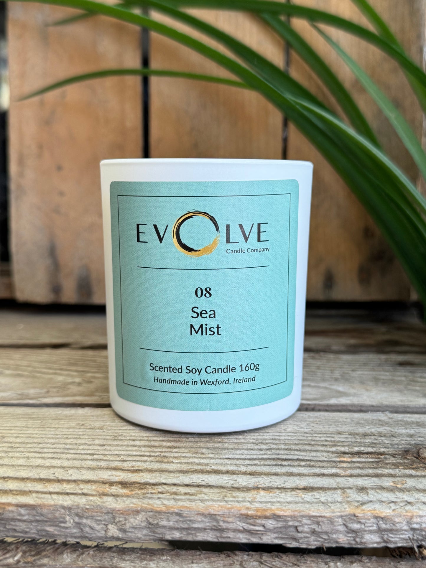 Evolve Soy Candle - 08 Sea Mist