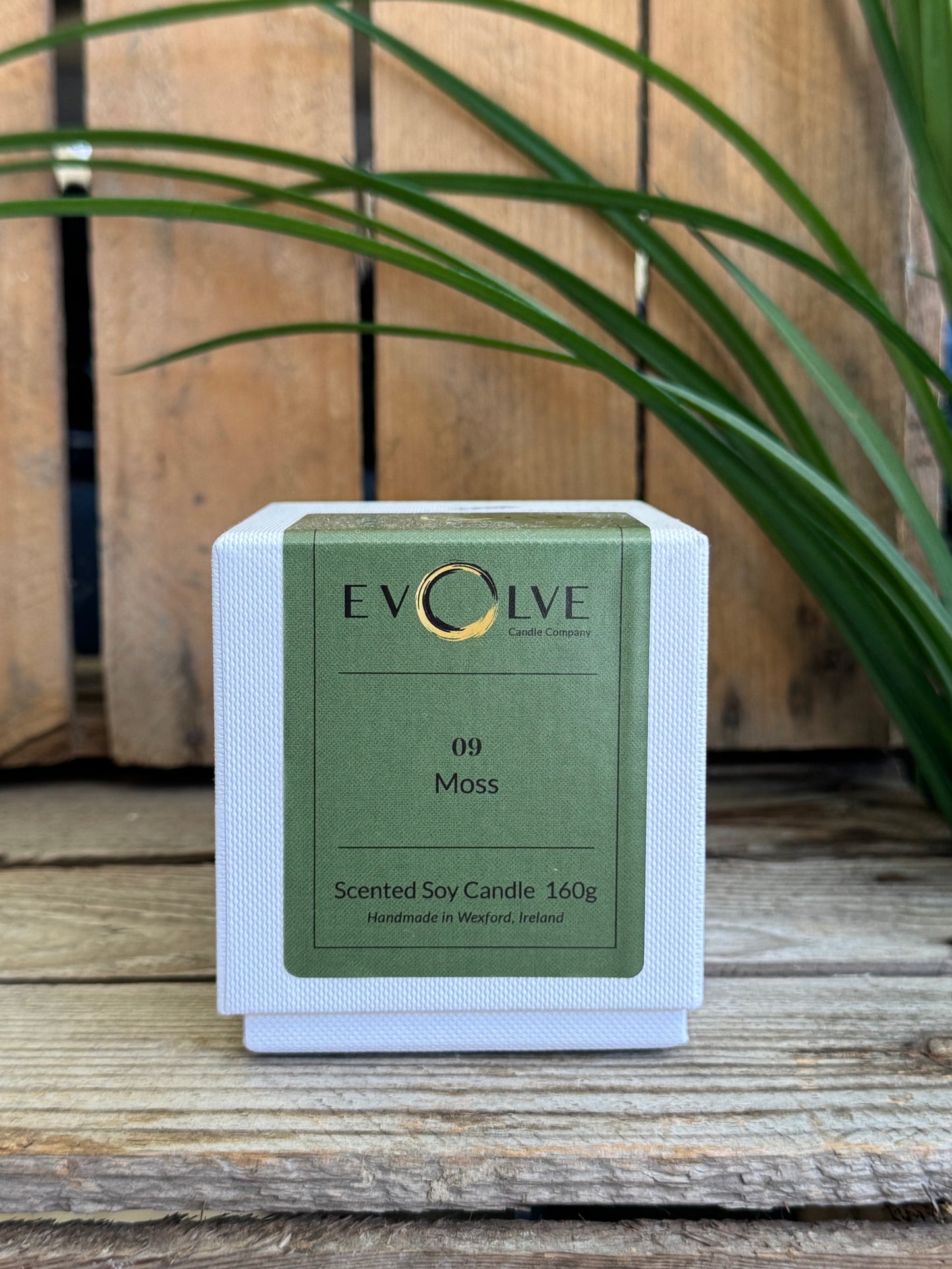 Evolve Soy Candle - 09 Moss
