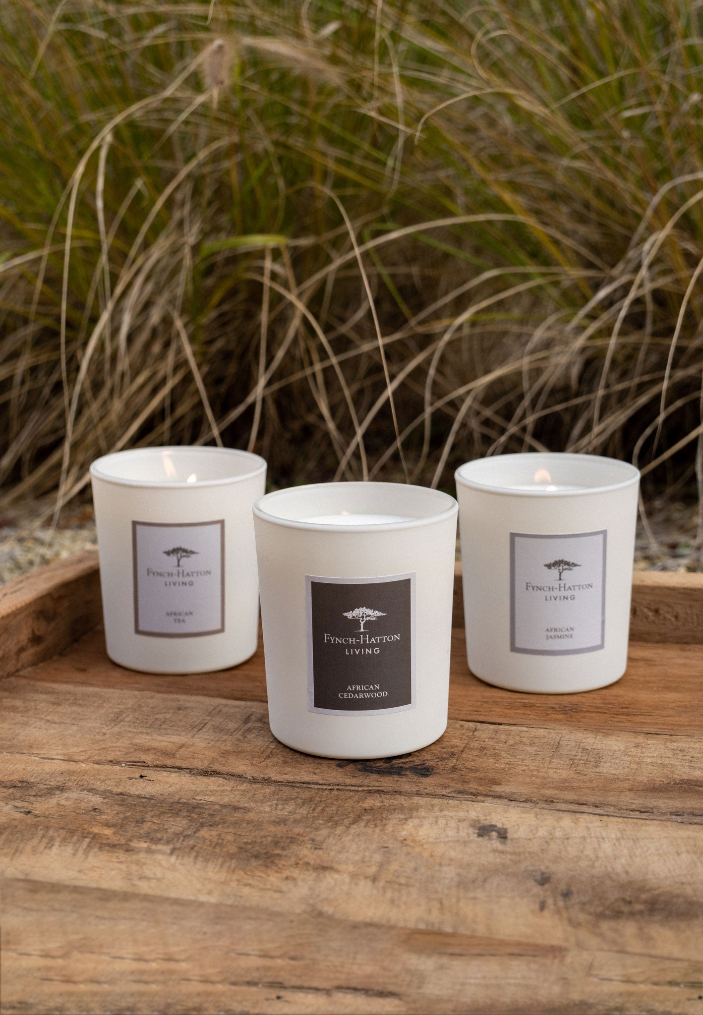 Fynch Hatton Living Candle - African Cedarwood