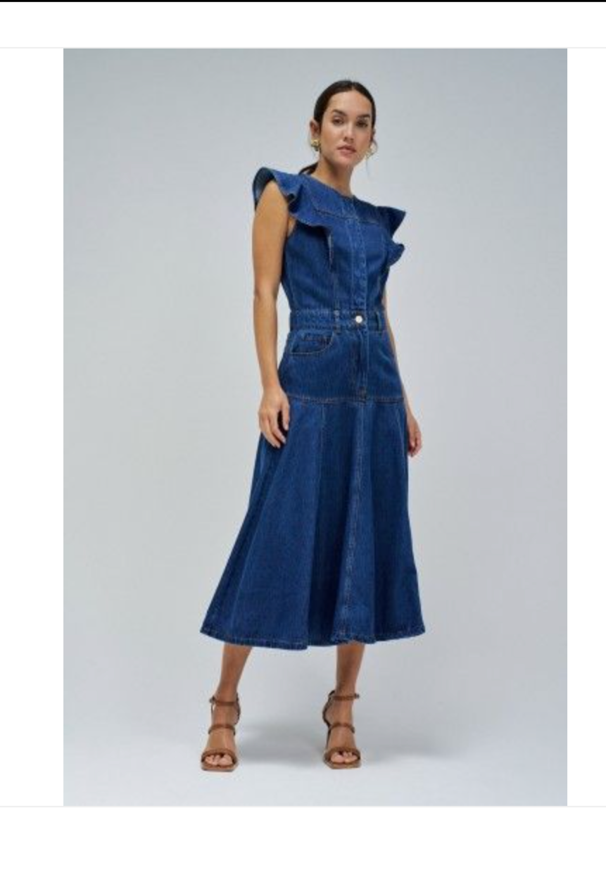 Salsa Denim Midi Dress