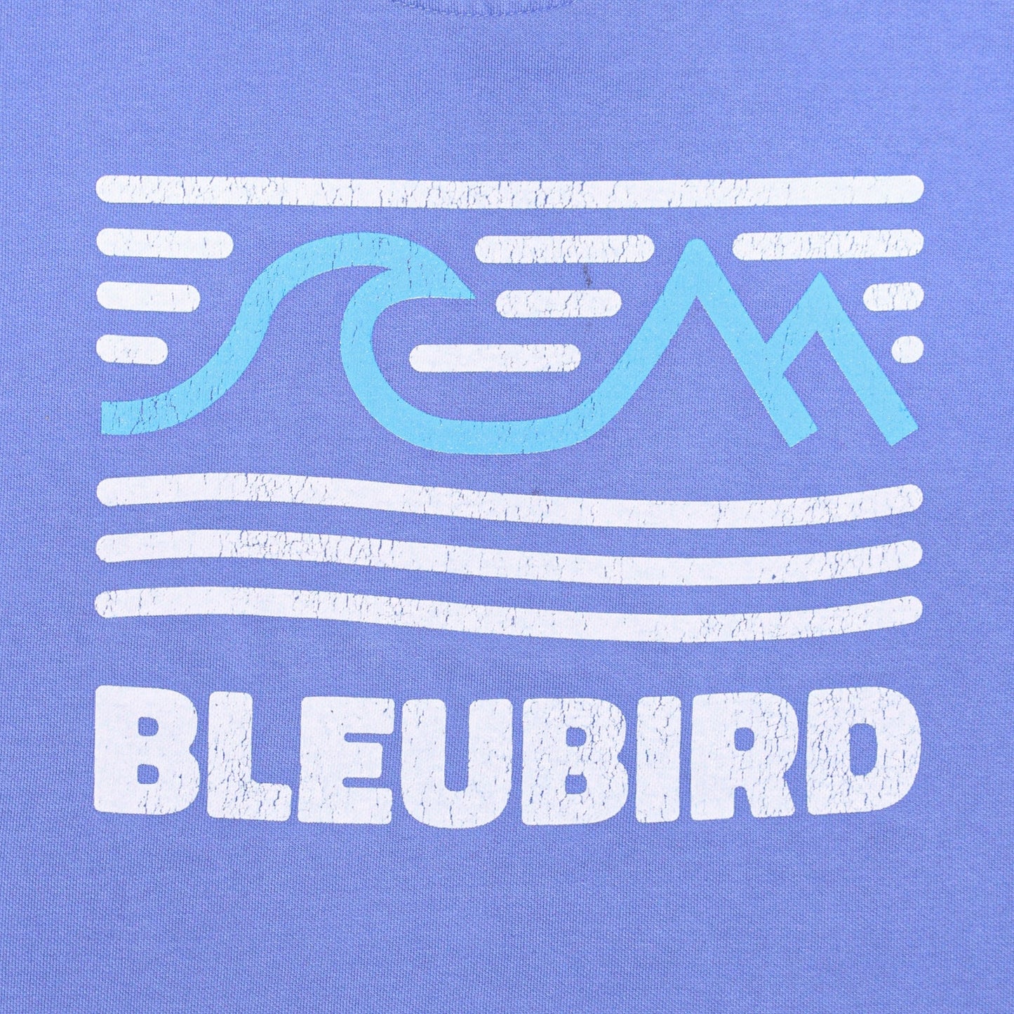 Bleubird Tides Hoodie - Ocean