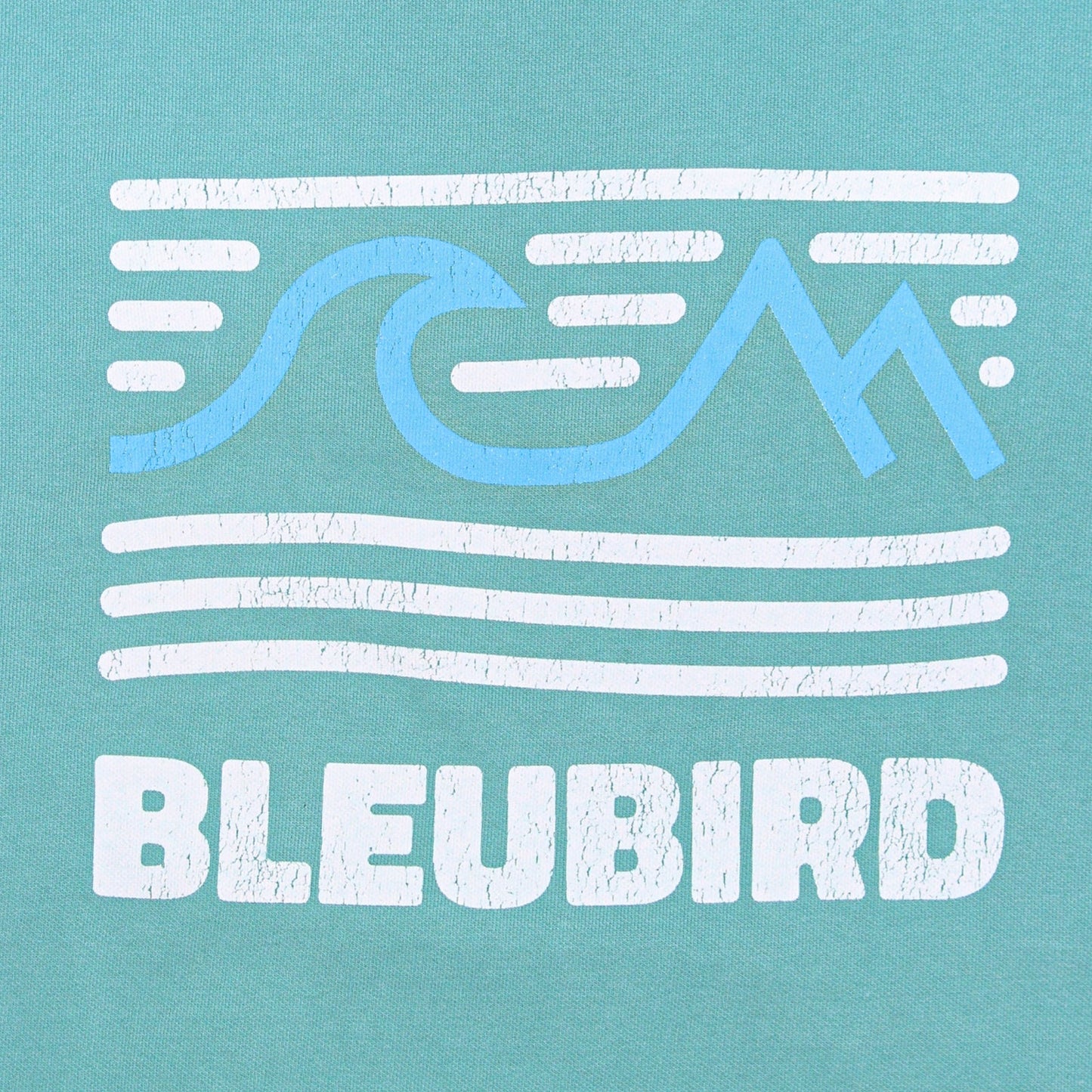 Bleubird Tides Hoodie- Emerald