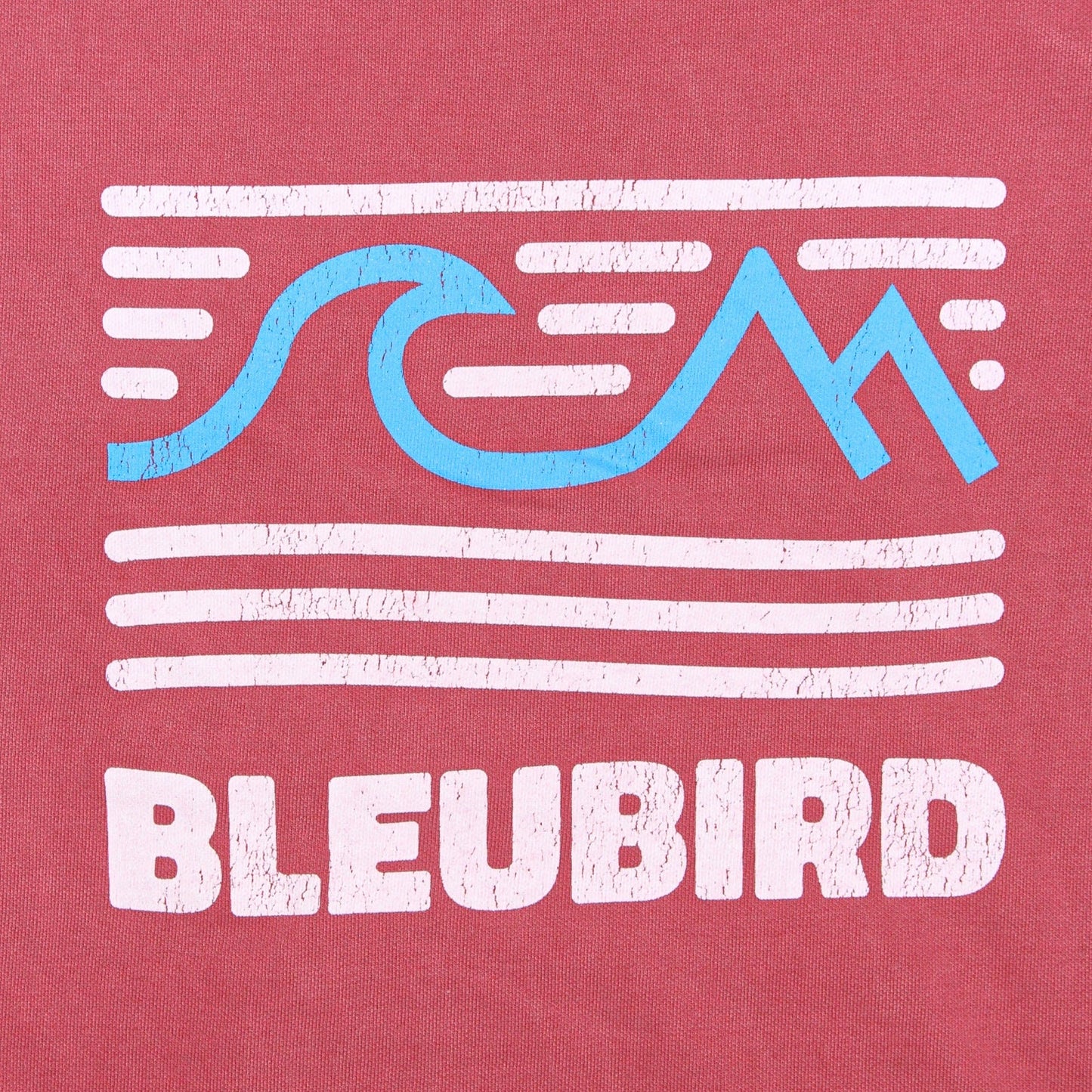 Bleubird Tides Hoodie - Crimson