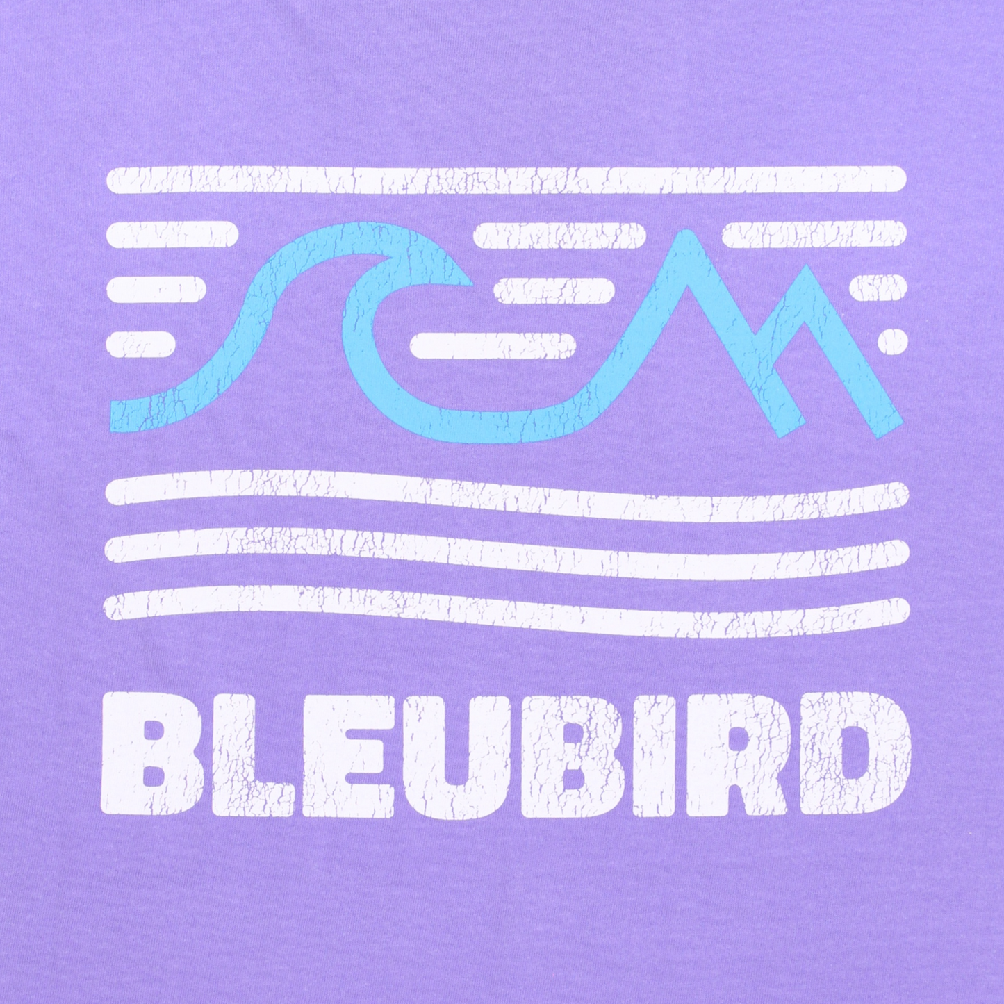 Bleubird Tides Tee - Violet