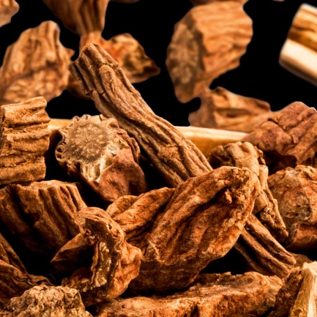 Yodeyma Womens Eau De Parfum- Cheante