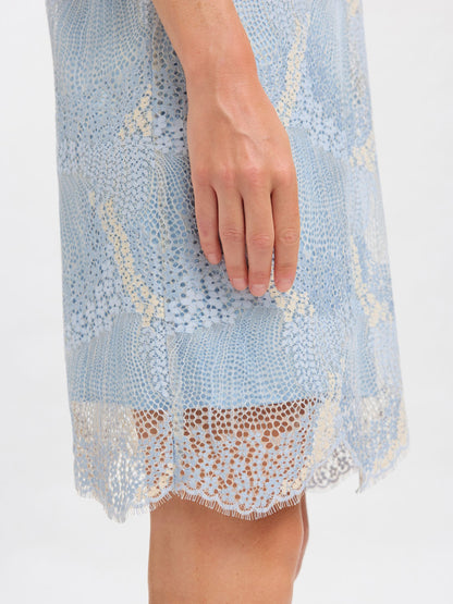 Light blue lace dress with a white background