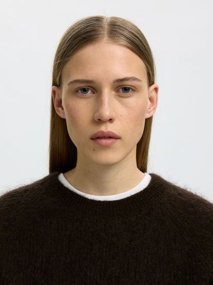 A close-up portrait of a model wearing a dark brown fuzzy knit crewneck sweater with a white ribbed collar, set against a plain light gray background.