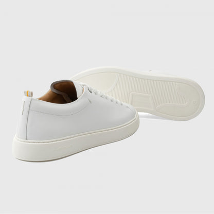 Ambitious Lewis Minimal Sneaker - White