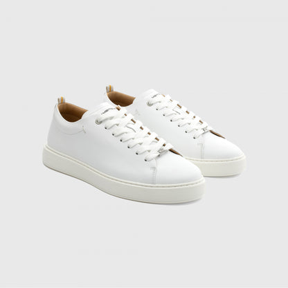 Ambitious Lewis Minimal Sneaker - White