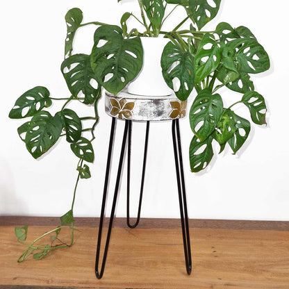 Albasia Wood Plant Stand - Whitewash & Gold Detail