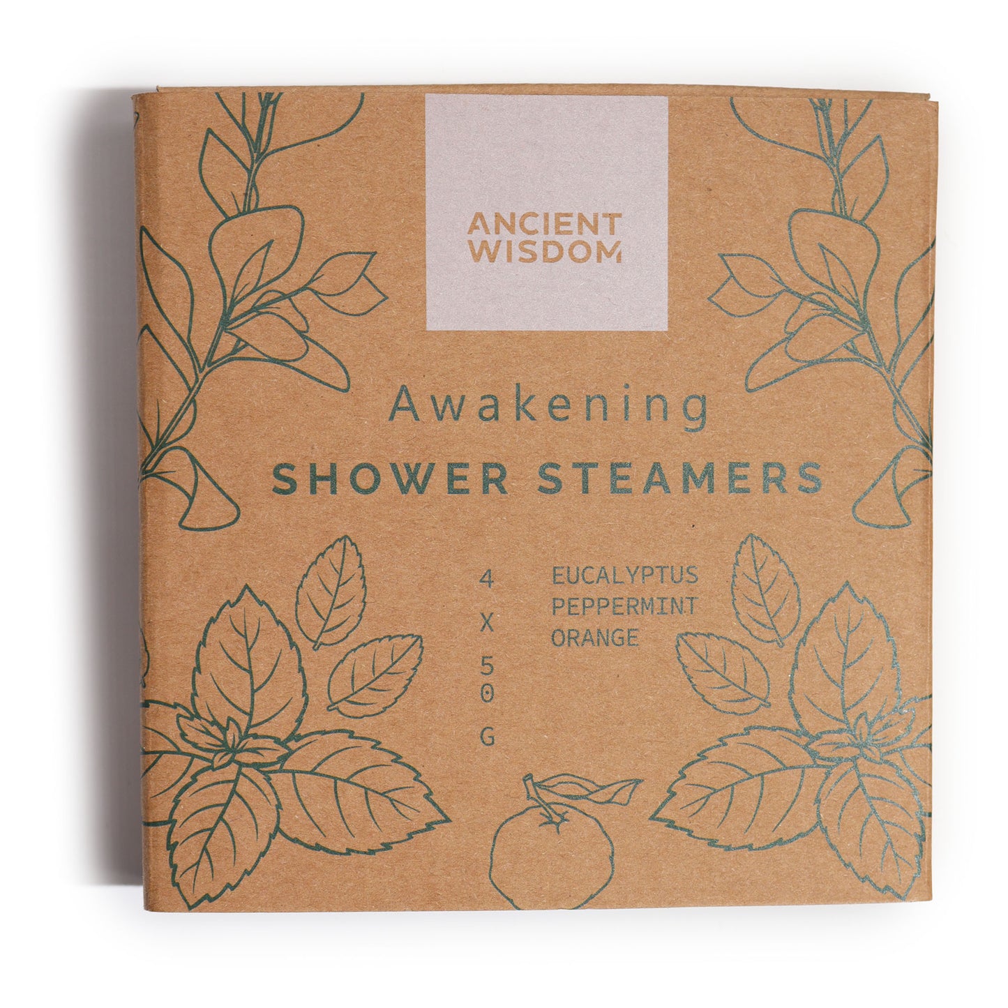 Ancient Wisdom Zen Shower Steamers - Awakening
