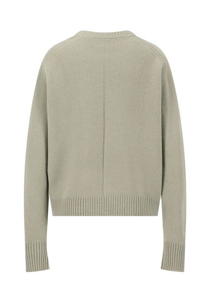 A light sage green knit sweater shown from the back, featuring a crew neck, long sleeves, and ribbed cuffs and hem, displayed on a clean white background.