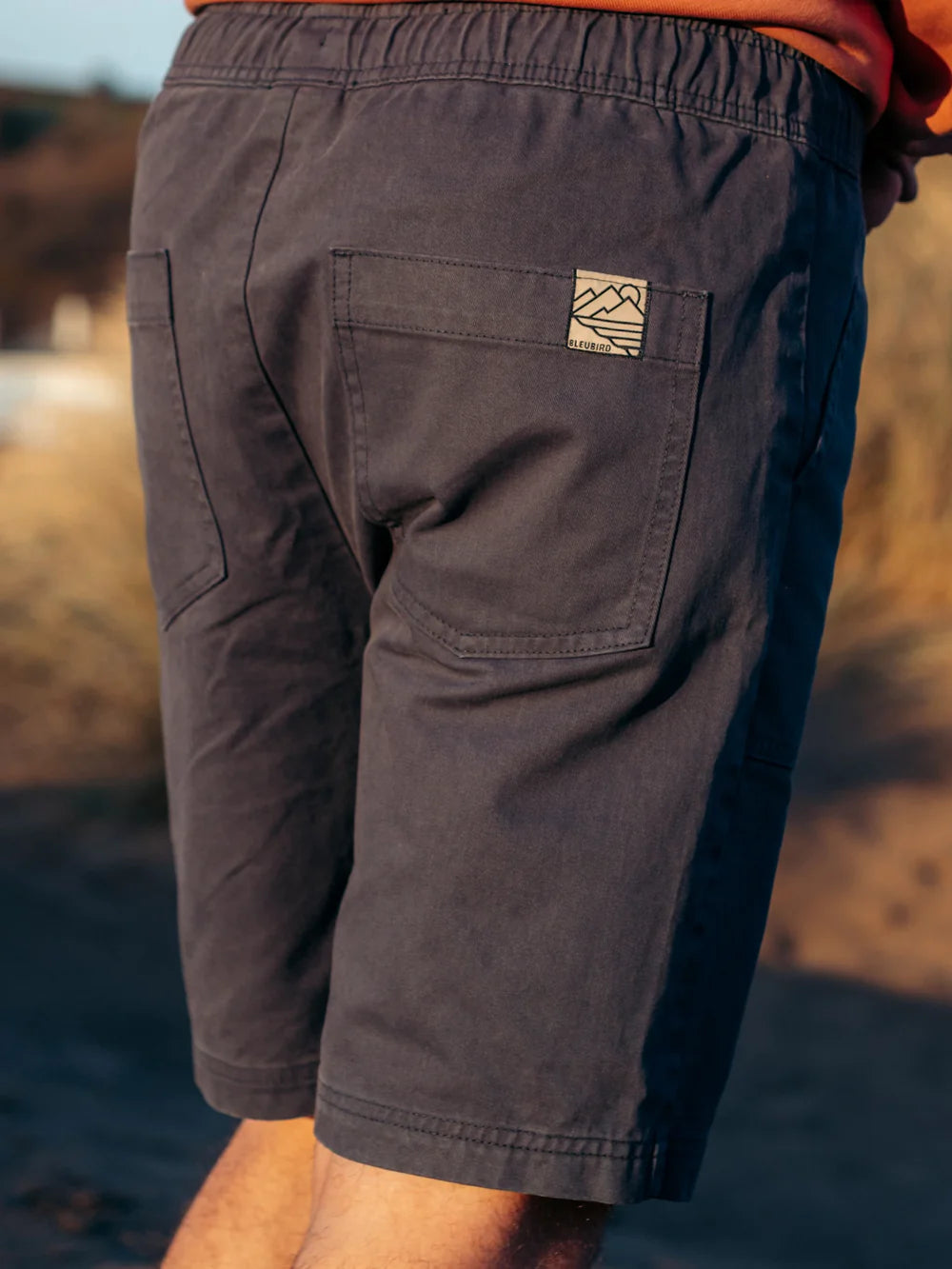 Bleubird Alder Shorts - Navy