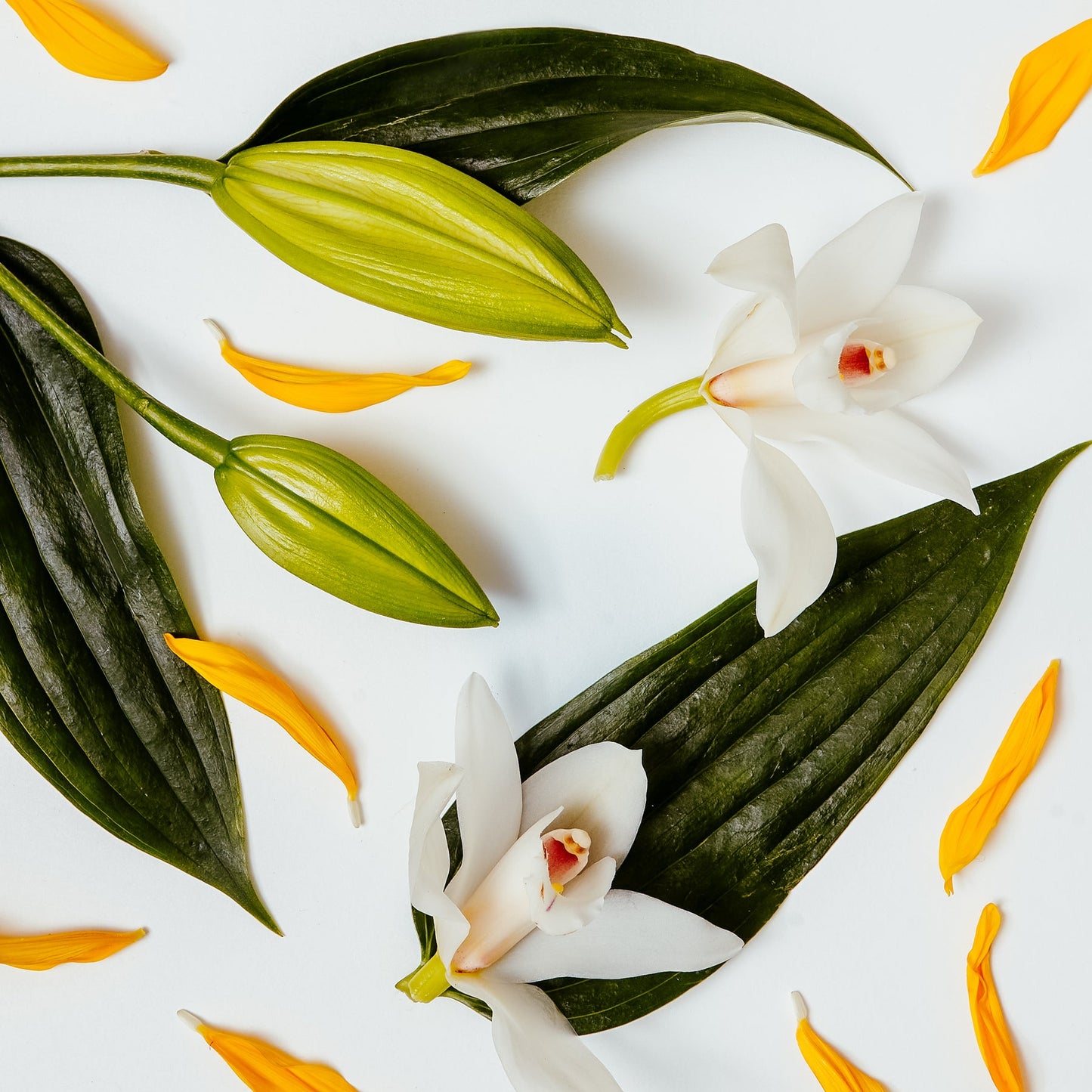 Brooke & Shoals Candle - White Lily and Ylang Ylang