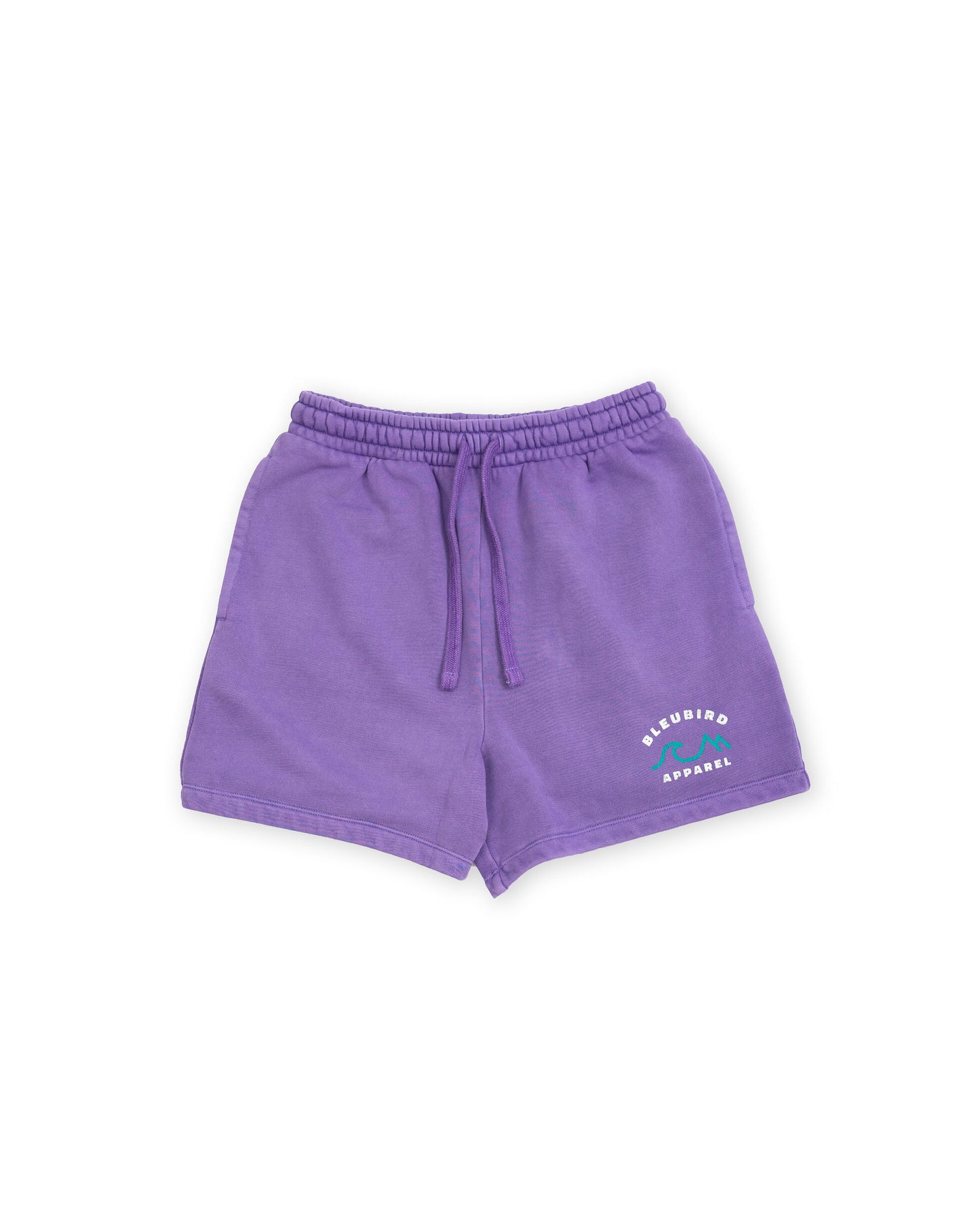 Bleubird Horizon Womens Shorts - Violet