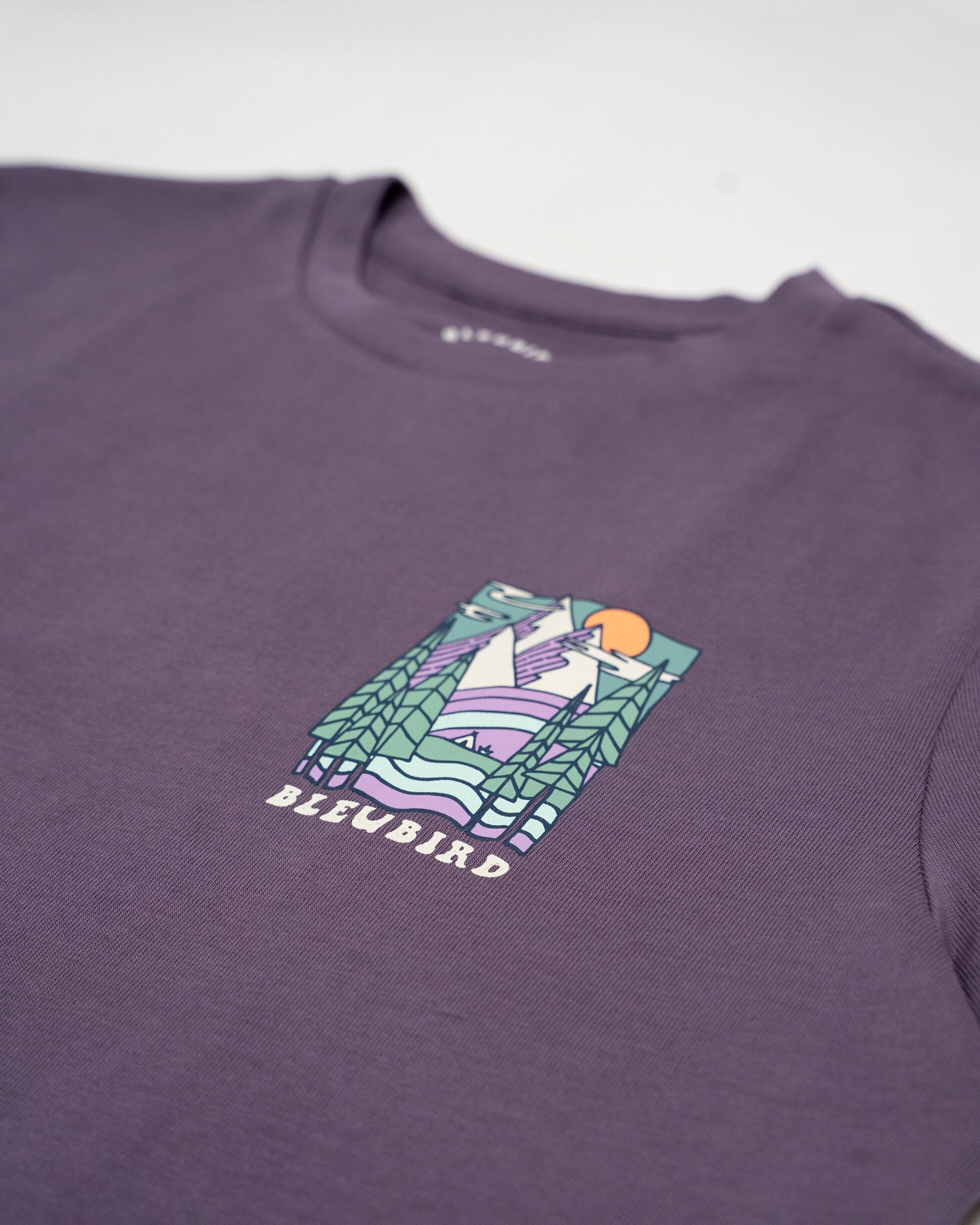 Bleubird Trailhead Cropped T-Shirt - Plum
