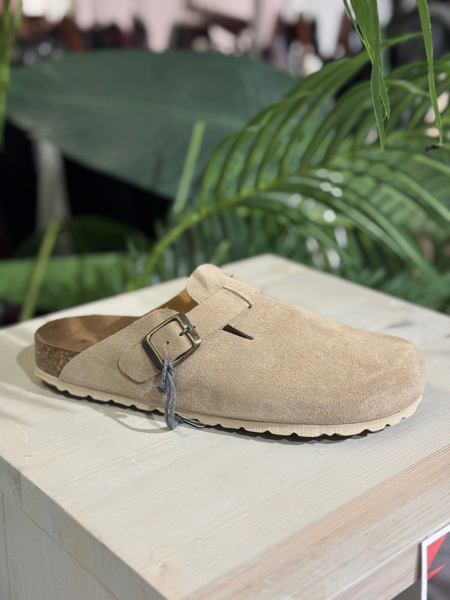Beige clog shoe with a buckle on a wooden surface with green foliage in the background
