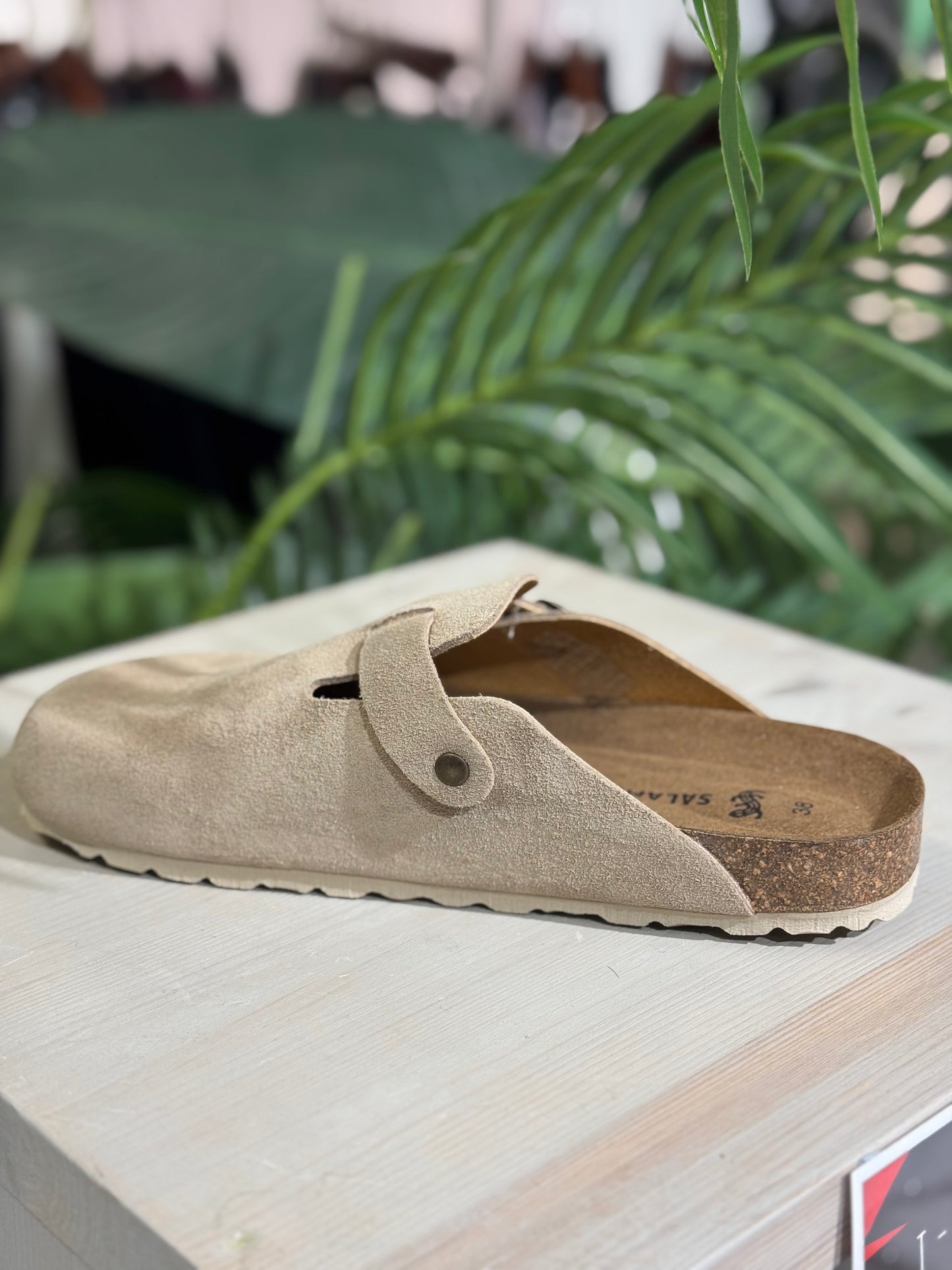 Beige sandal on a stone surface with green foliage in the background