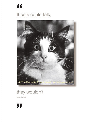 Borealis Card - If cats could talk