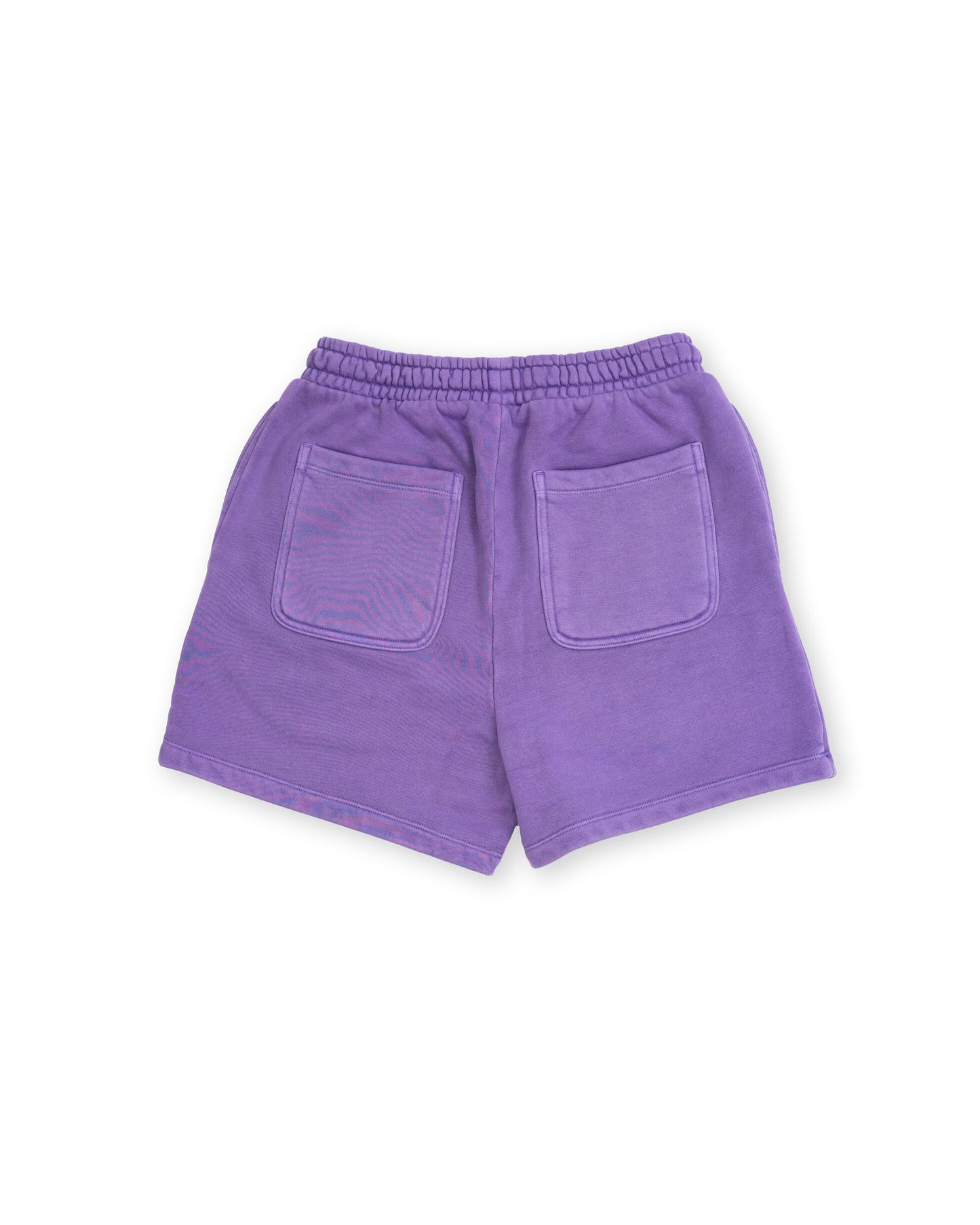 Bleubird Horizon Womens Shorts - Violet