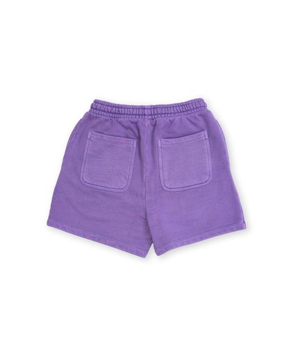 Bleubird Horizon Womens Shorts - Violet