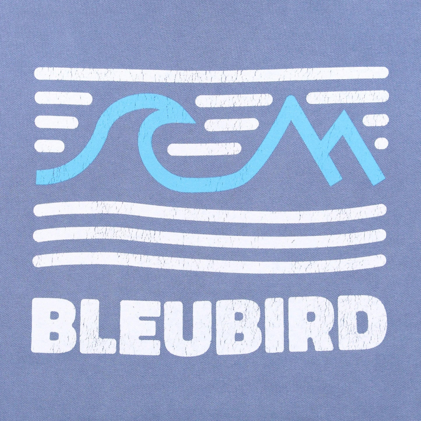 Bleubird Tides Hoodie - Sky