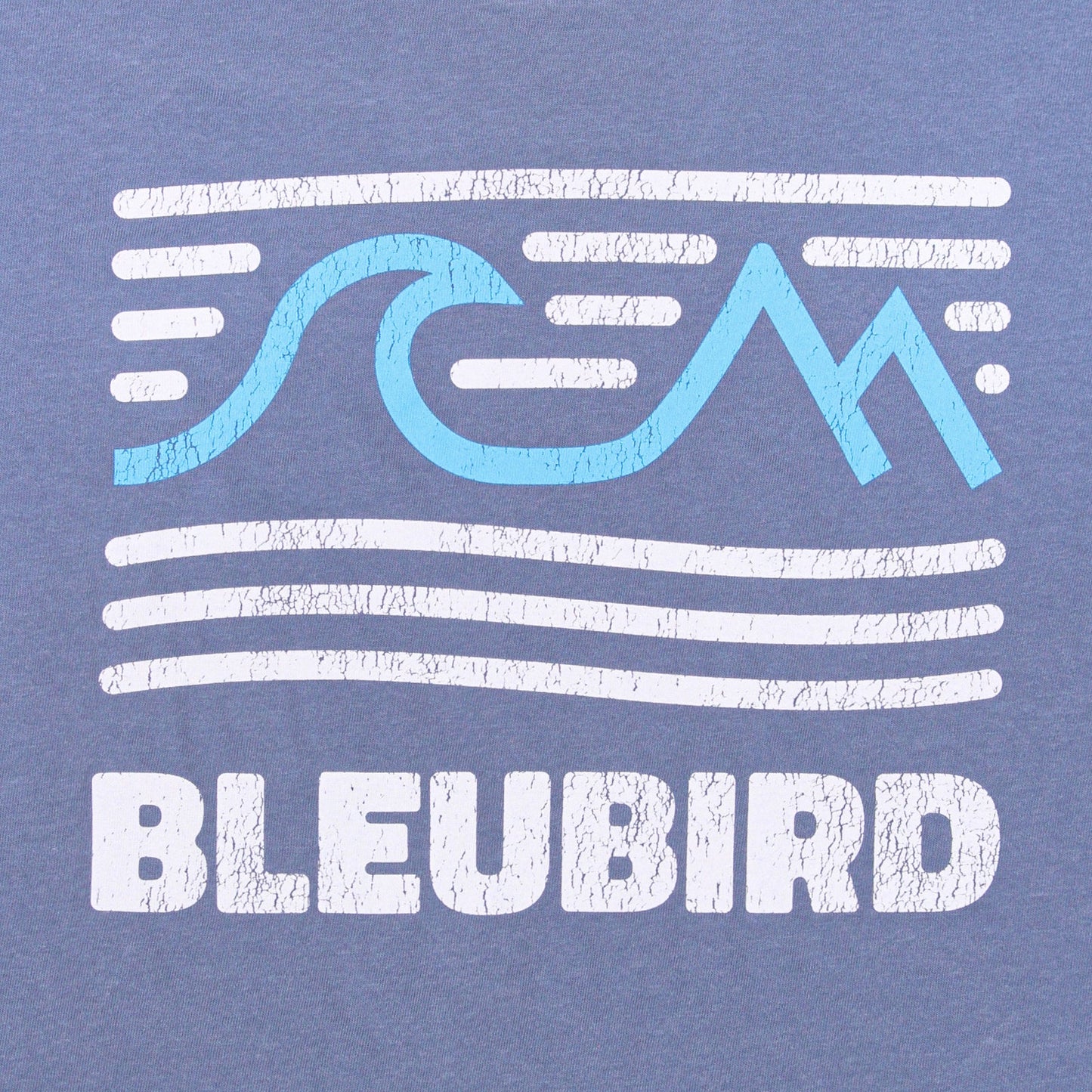 Bleubird T-Shirt - Sky Tides
