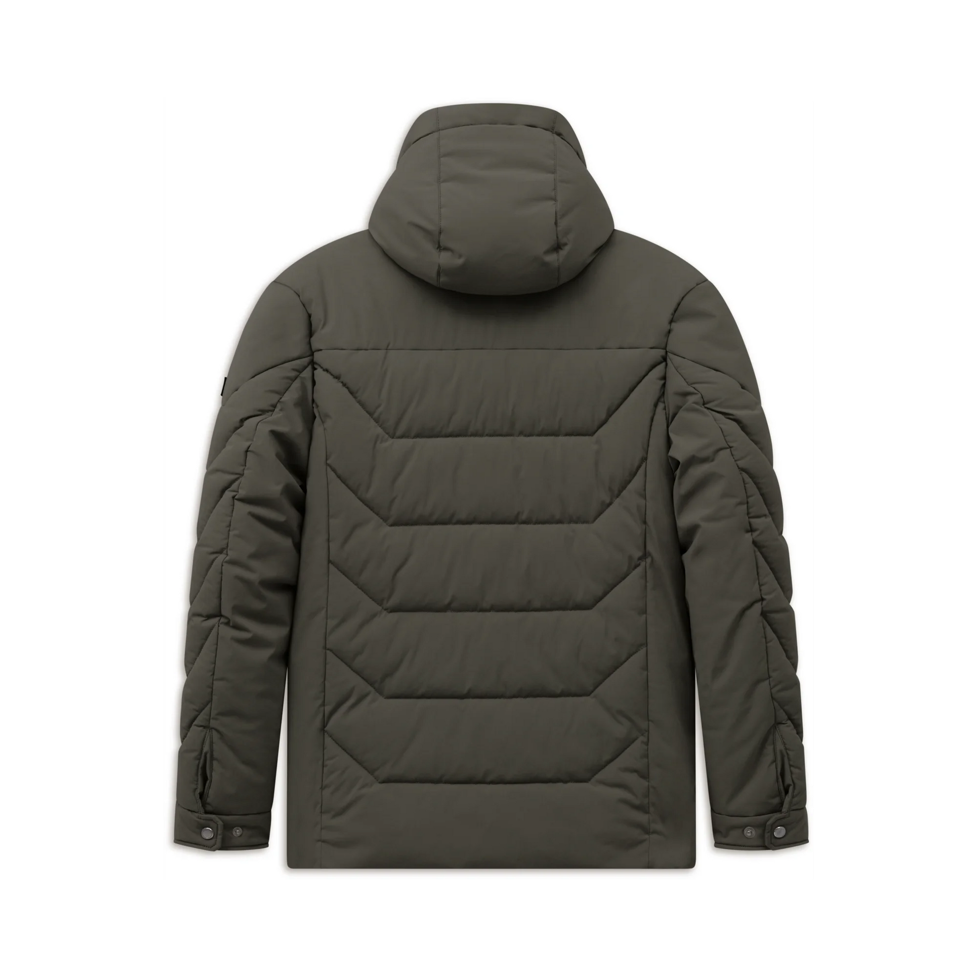 An olive green hooded puffer jacket shown from the back, featuring horizontal quilted baffles and vertical quilted details on the sleeves, photographed against a solid white background.